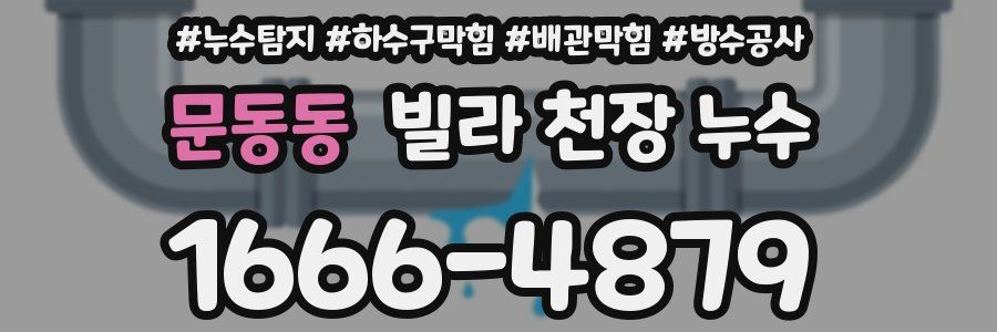 문동동 빌라 천장 누수