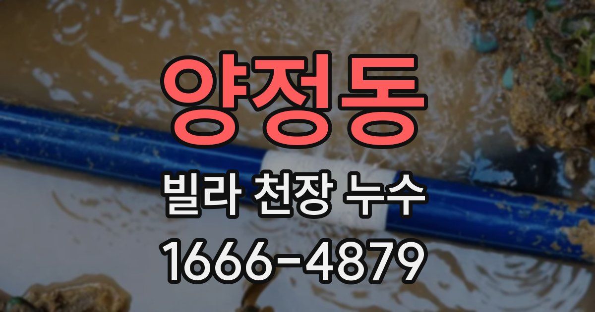 양정동 빌라 천장 누수