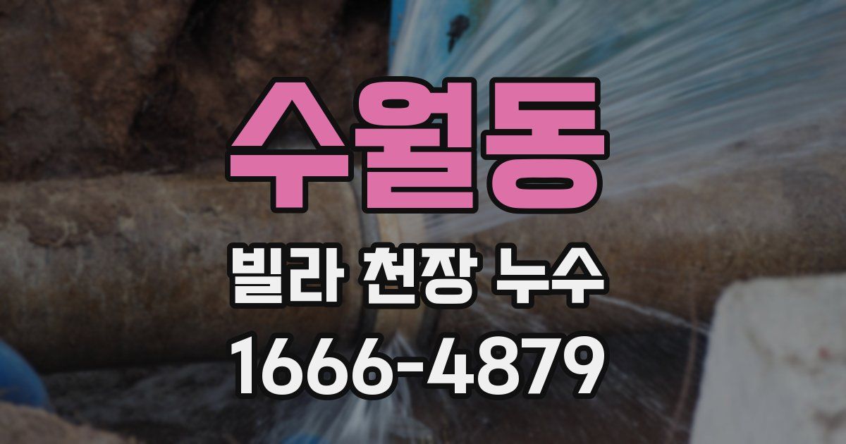 수월동 빌라 천장 누수