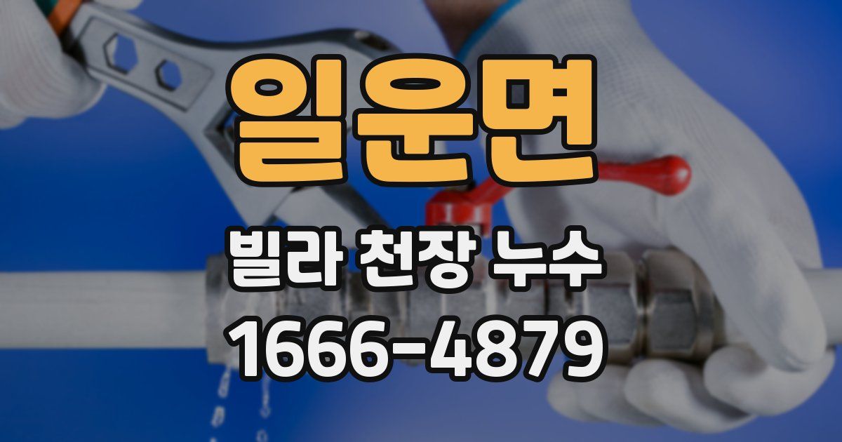 일운면 빌라 천장 누수