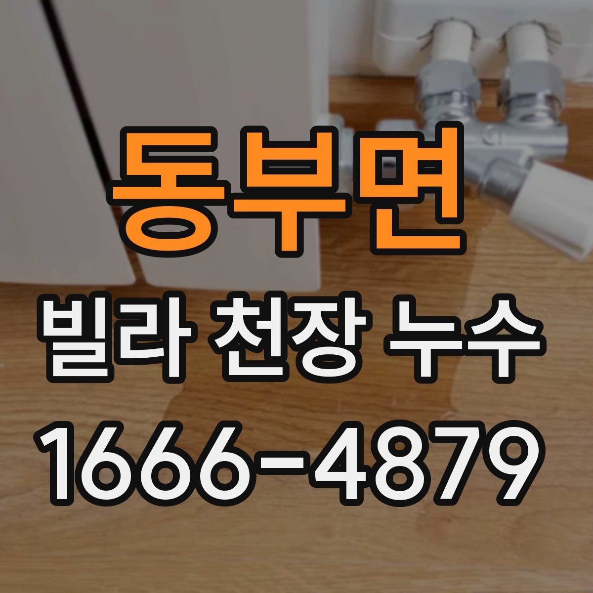 동부면 빌라 천장 누수