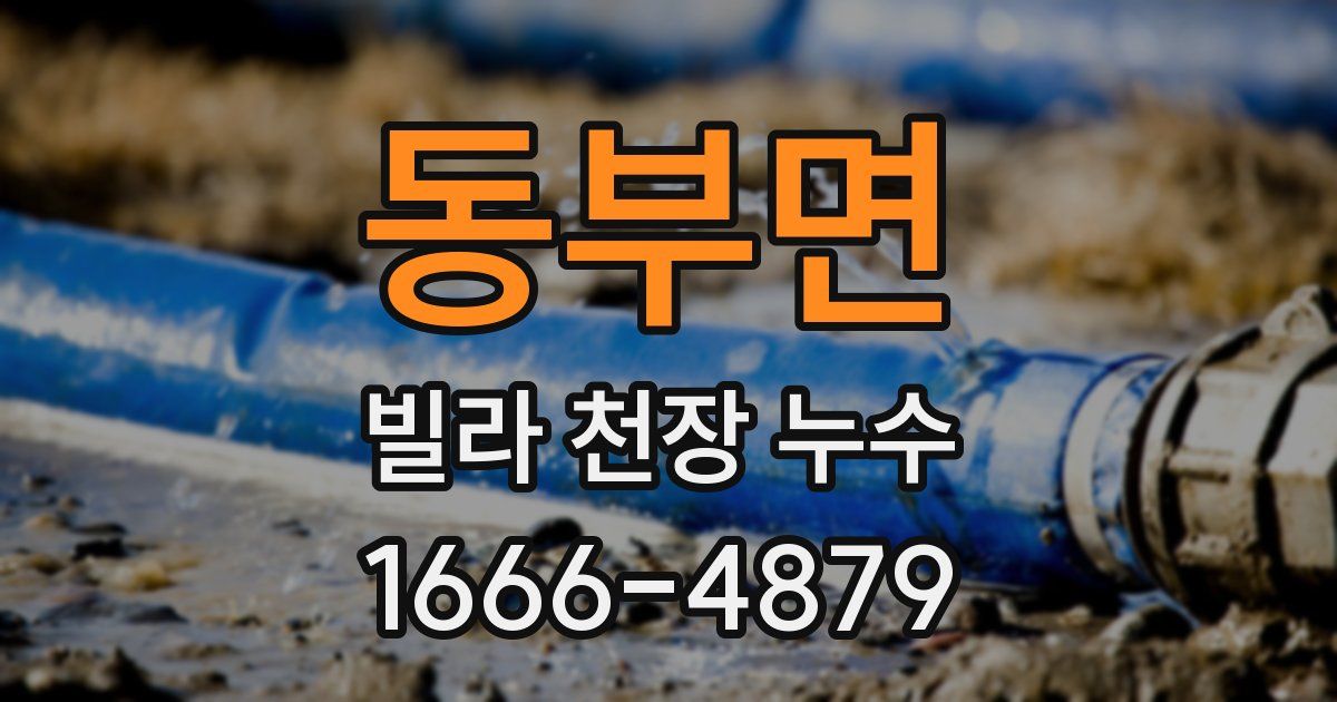 동부면 빌라 천장 누수