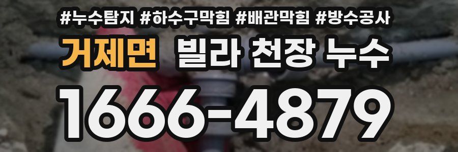 거제면 빌라 천장 누수