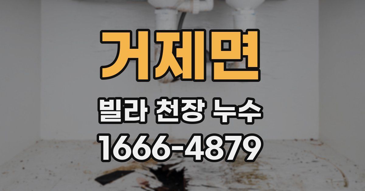 거제면 빌라 천장 누수