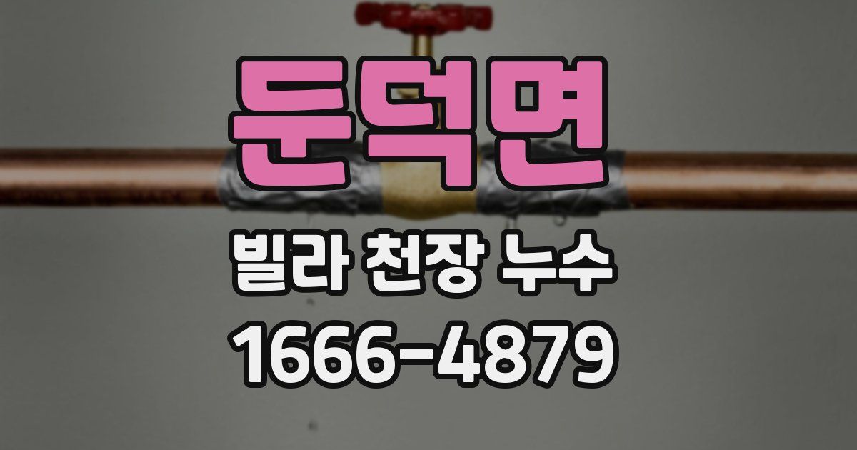 둔덕면 빌라 천장 누수