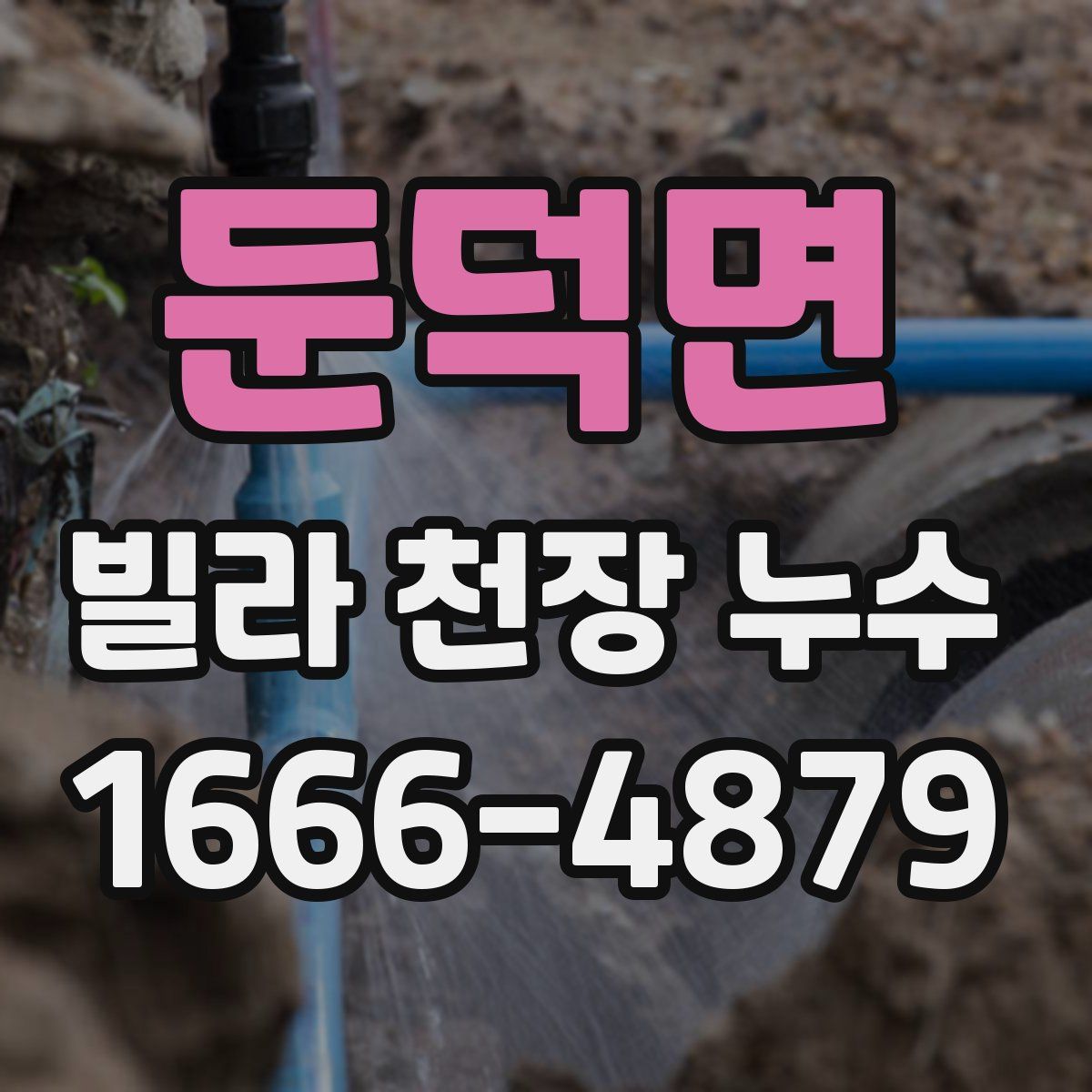 둔덕면 빌라 천장 누수