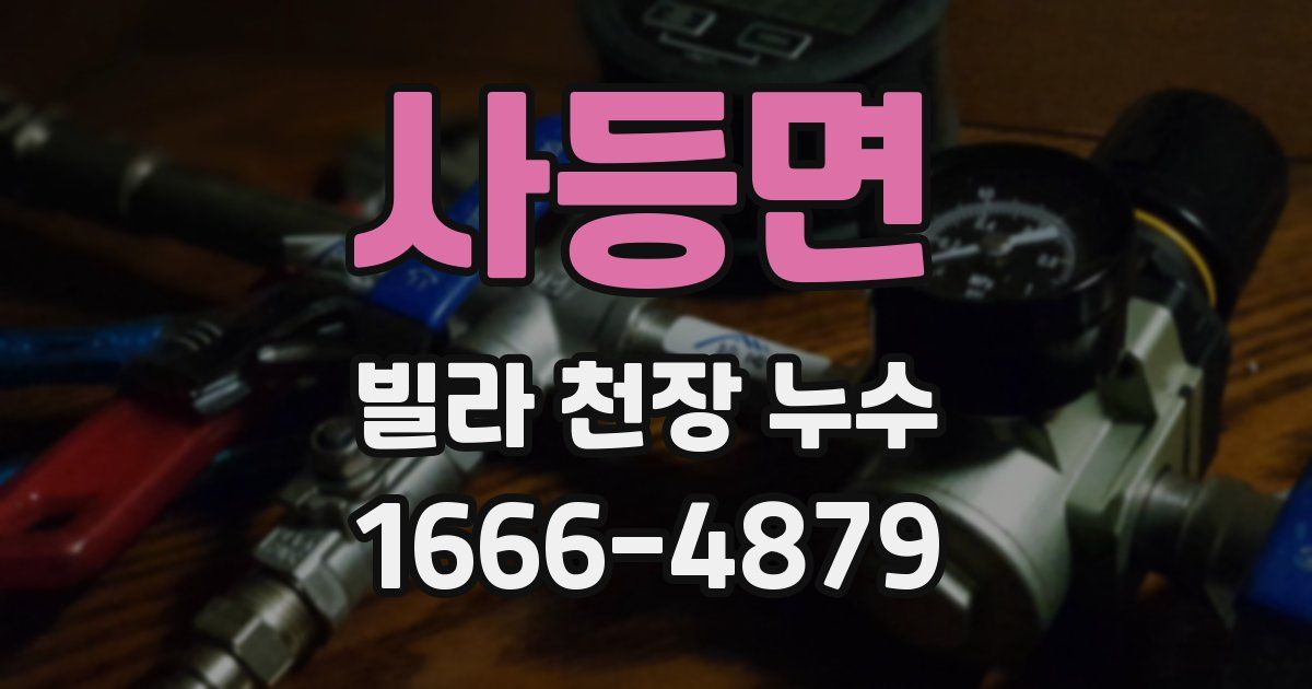 사등면 빌라 천장 누수