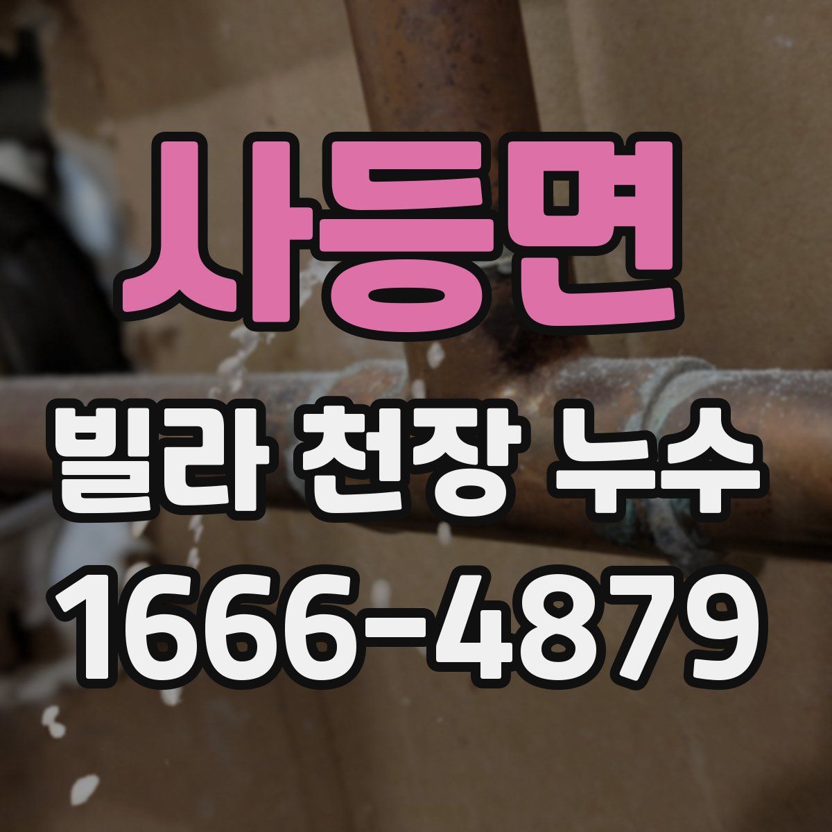 사등면 빌라 천장 누수