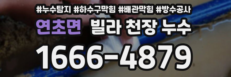 연초면 빌라 천장 누수