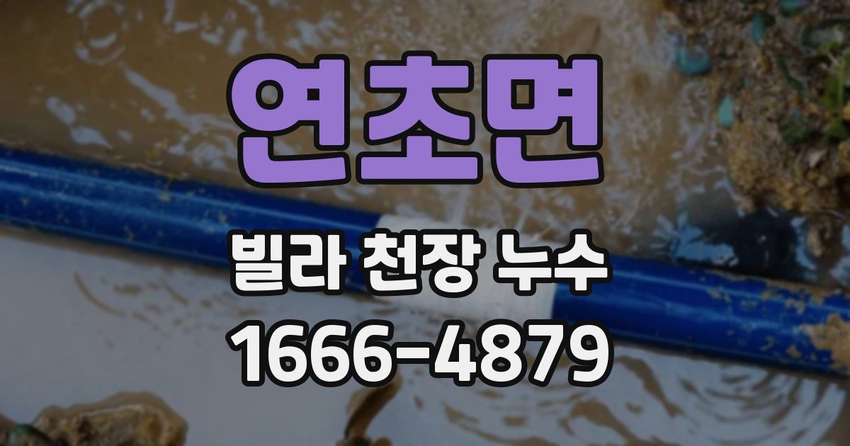 연초면 빌라 천장 누수