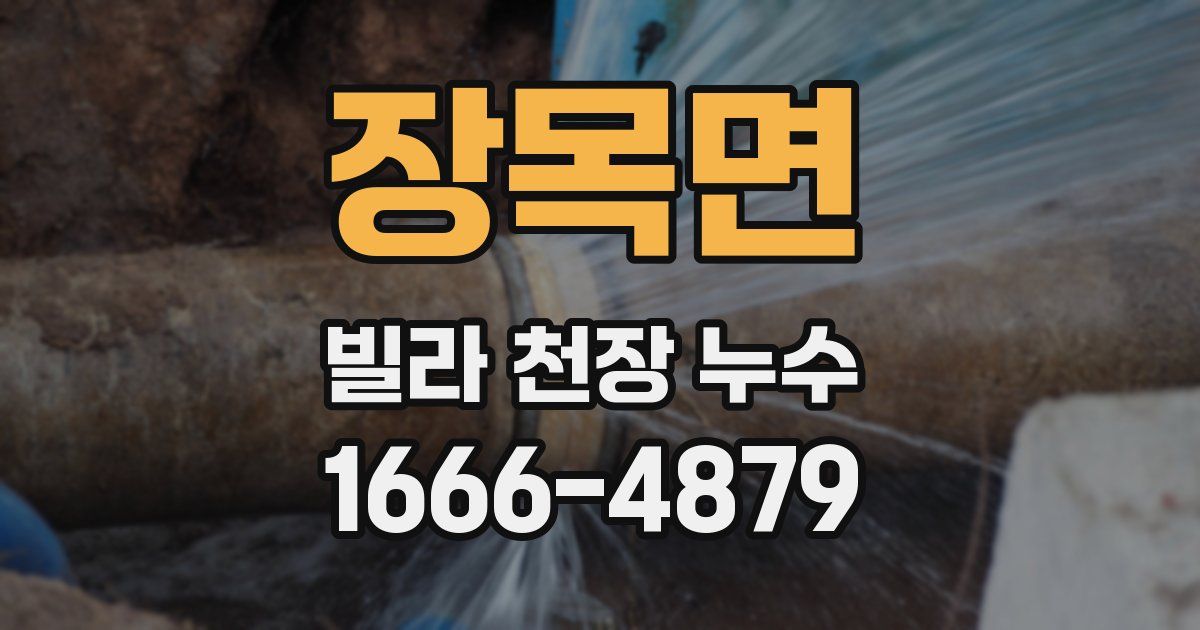 장목면 빌라 천장 누수