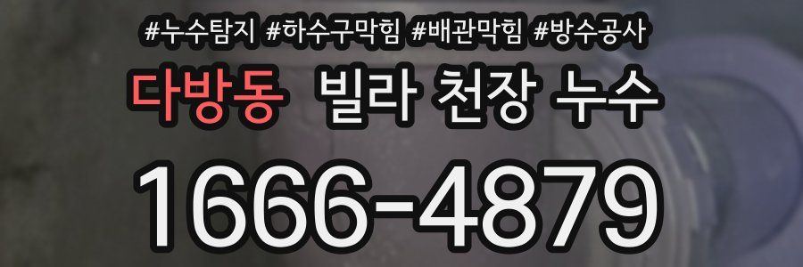 다방동 빌라 천장 누수