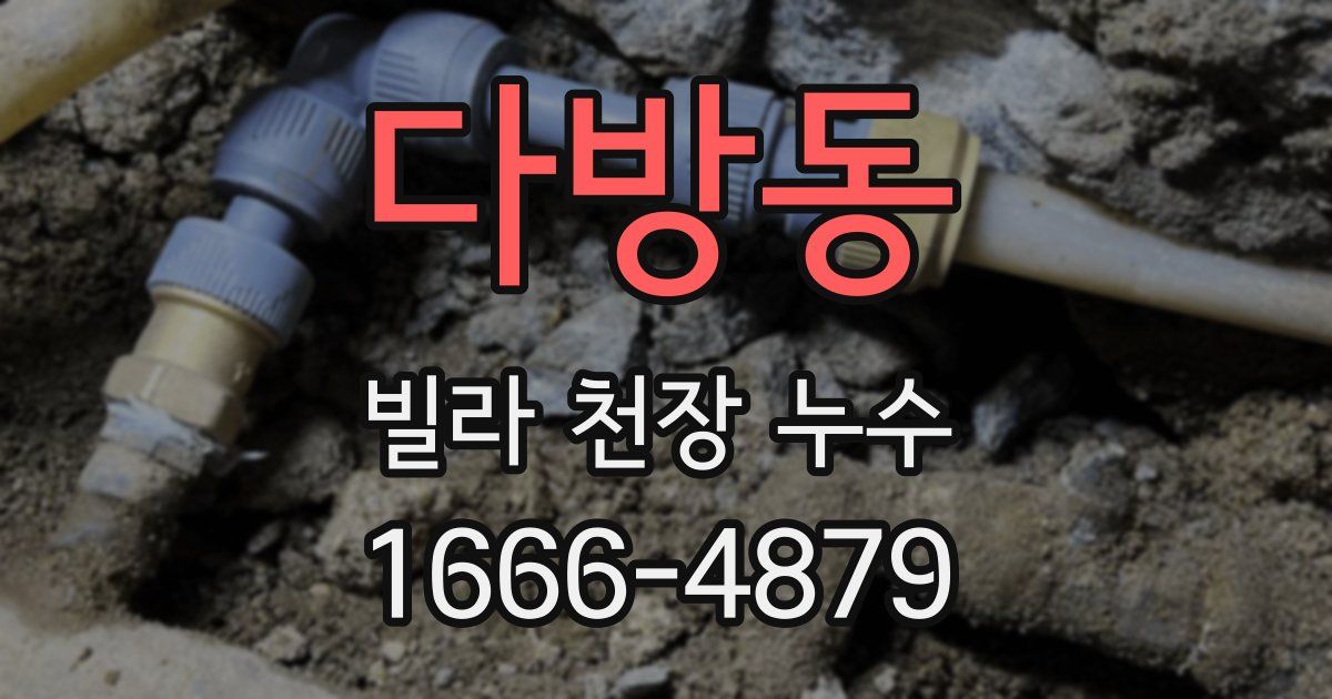 다방동 빌라 천장 누수
