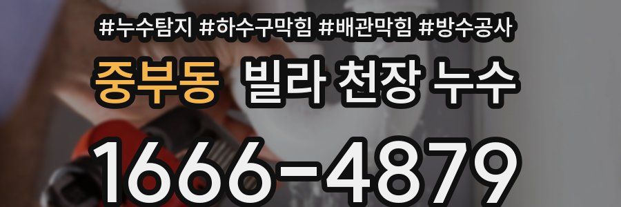 중부동 빌라 천장 누수