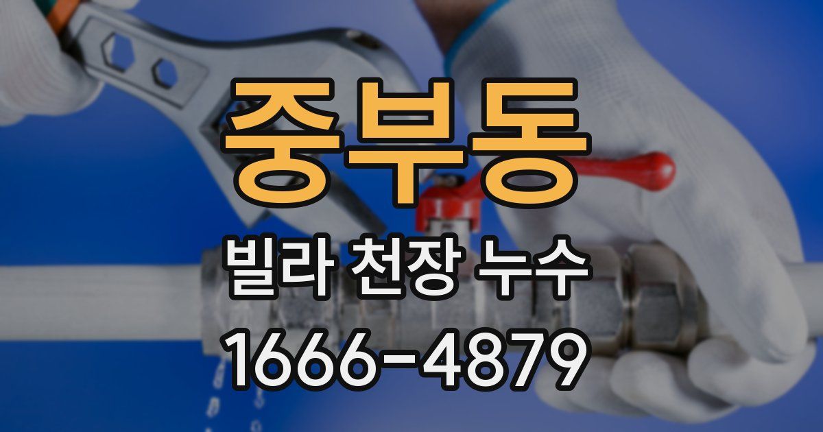 중부동 빌라 천장 누수