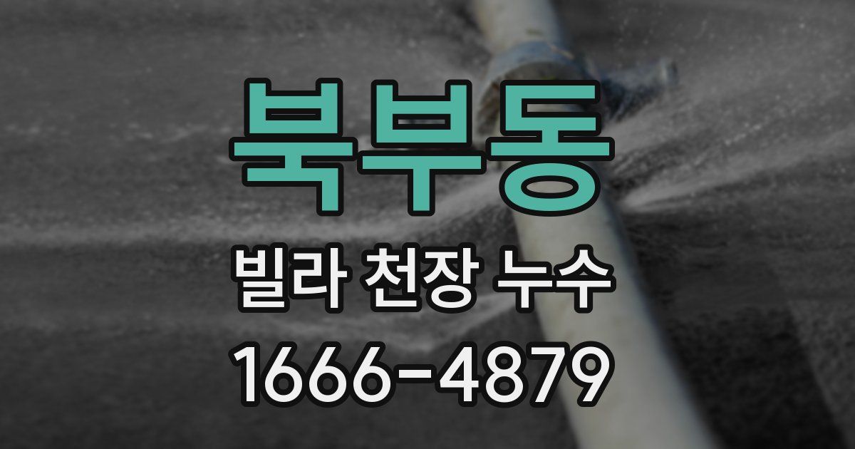 북부동 빌라 천장 누수