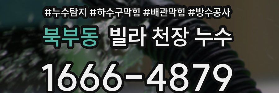 북부동 빌라 천장 누수