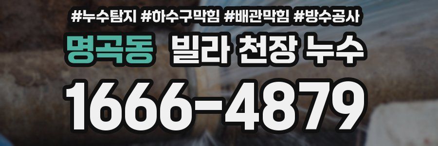 명곡동 빌라 천장 누수