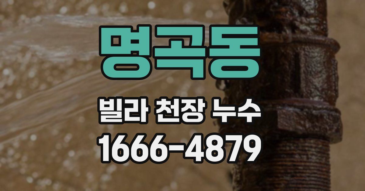 명곡동 빌라 천장 누수