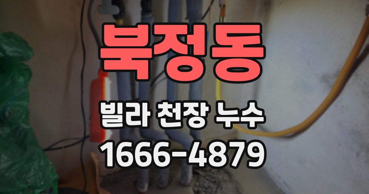 북정동 빌라 천장 누수