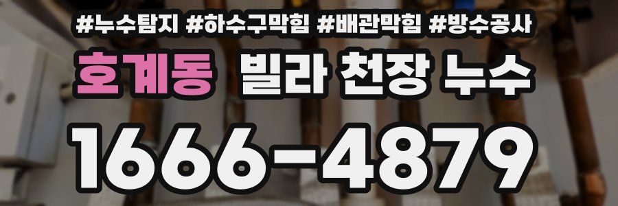 호계동 빌라 천장 누수