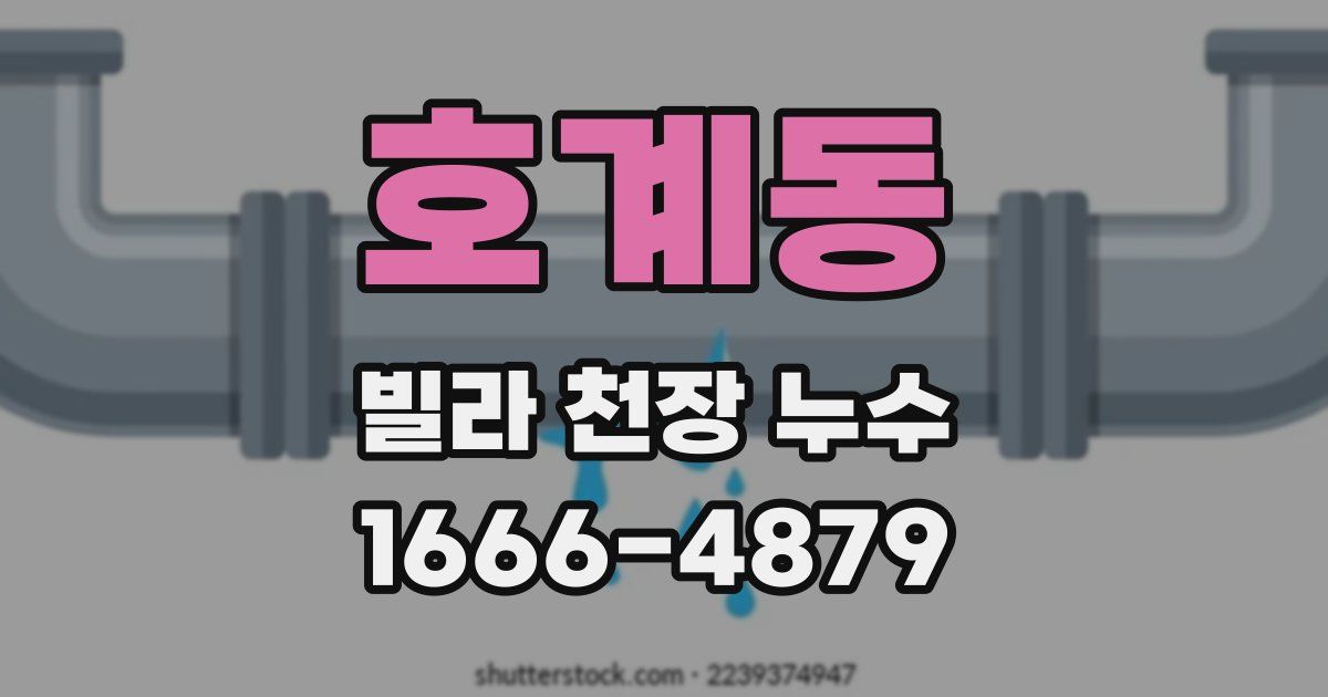 호계동 빌라 천장 누수