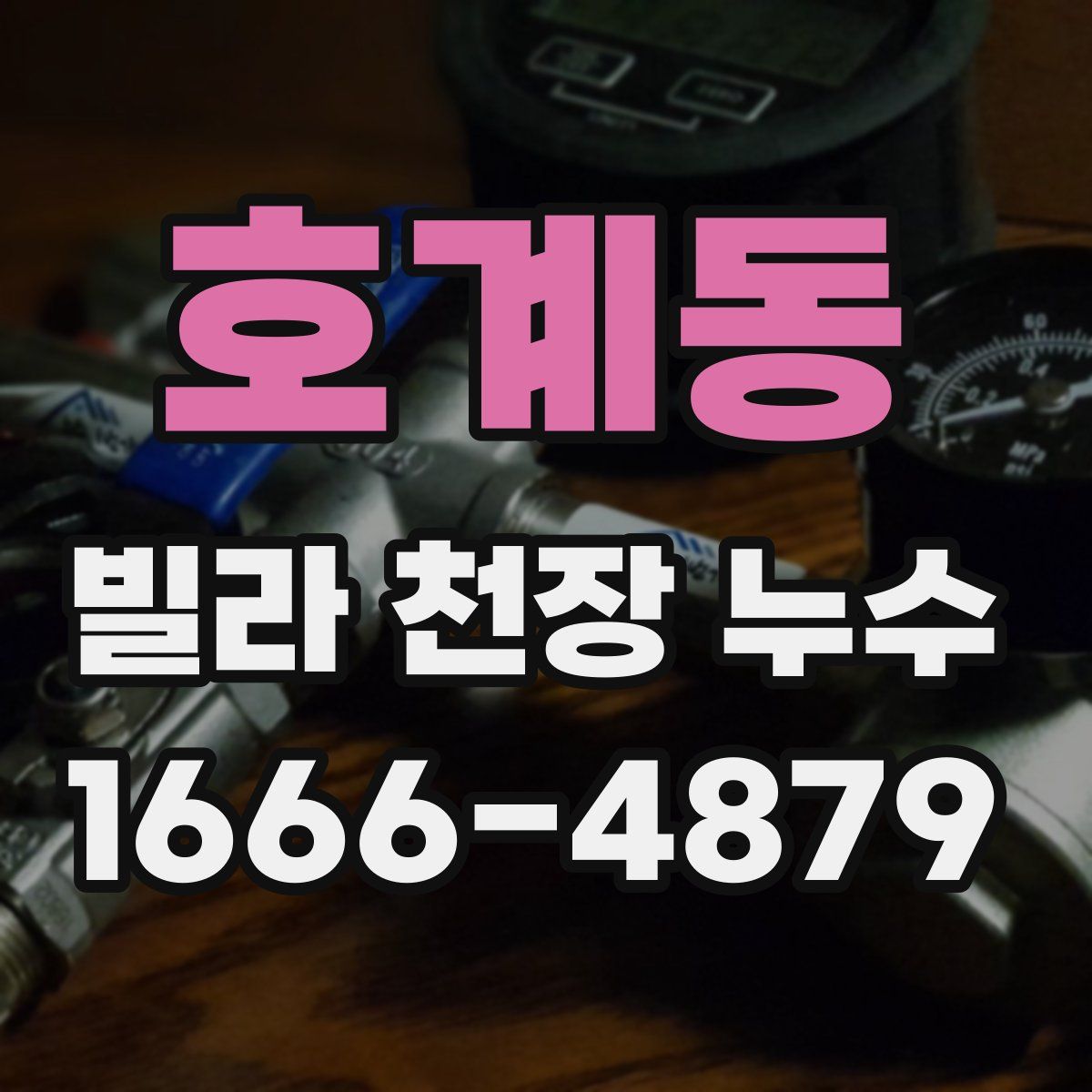 호계동 빌라 천장 누수