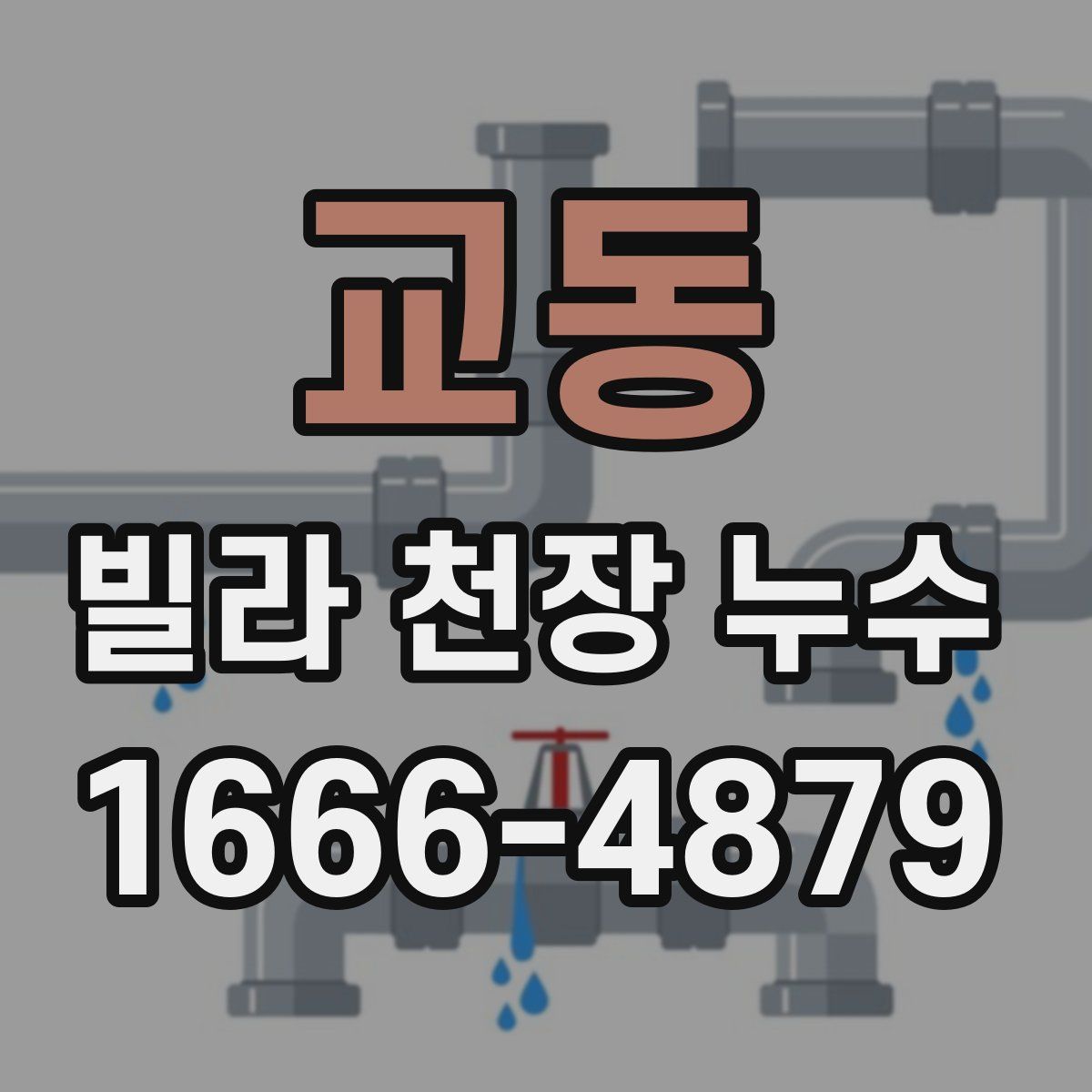 교동 빌라 천장 누수