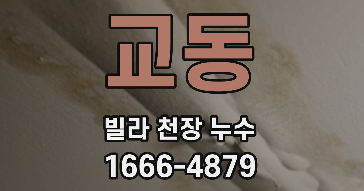 교동 빌라 천장 누수