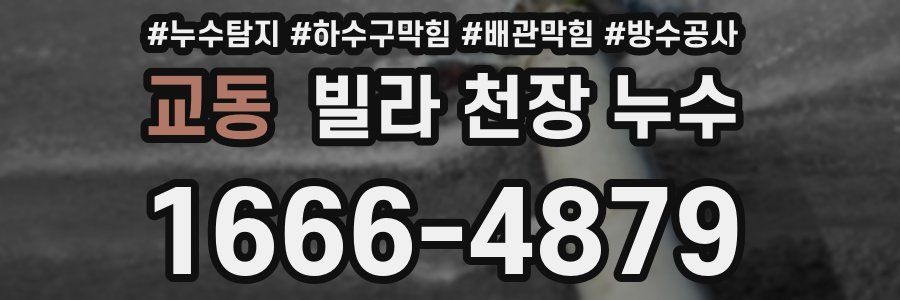 교동 빌라 천장 누수