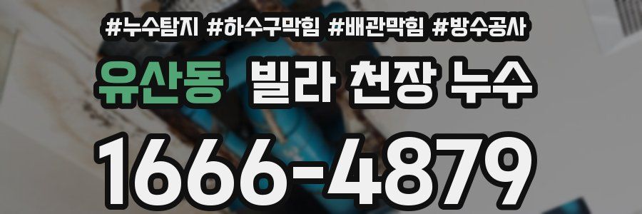 유산동 빌라 천장 누수