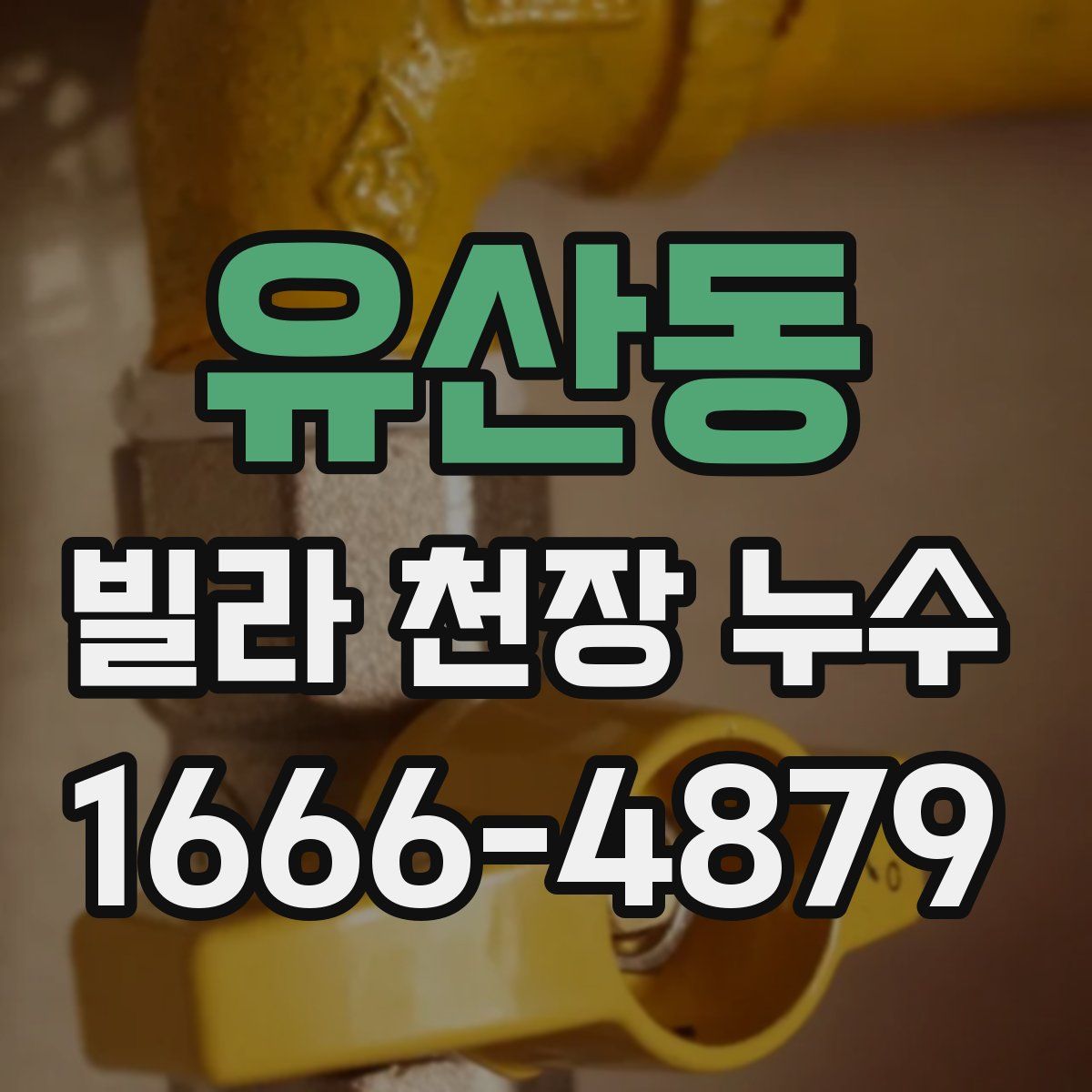 유산동 빌라 천장 누수