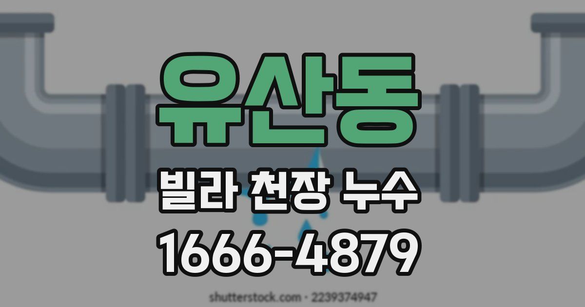 유산동 빌라 천장 누수