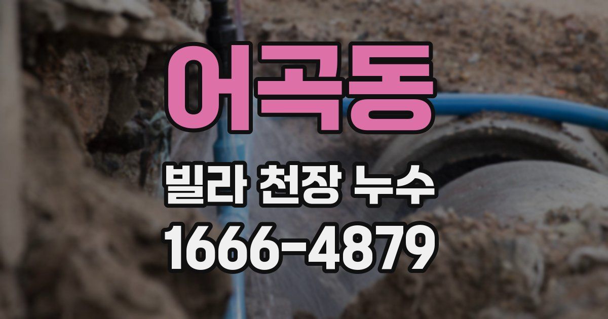 어곡동 빌라 천장 누수