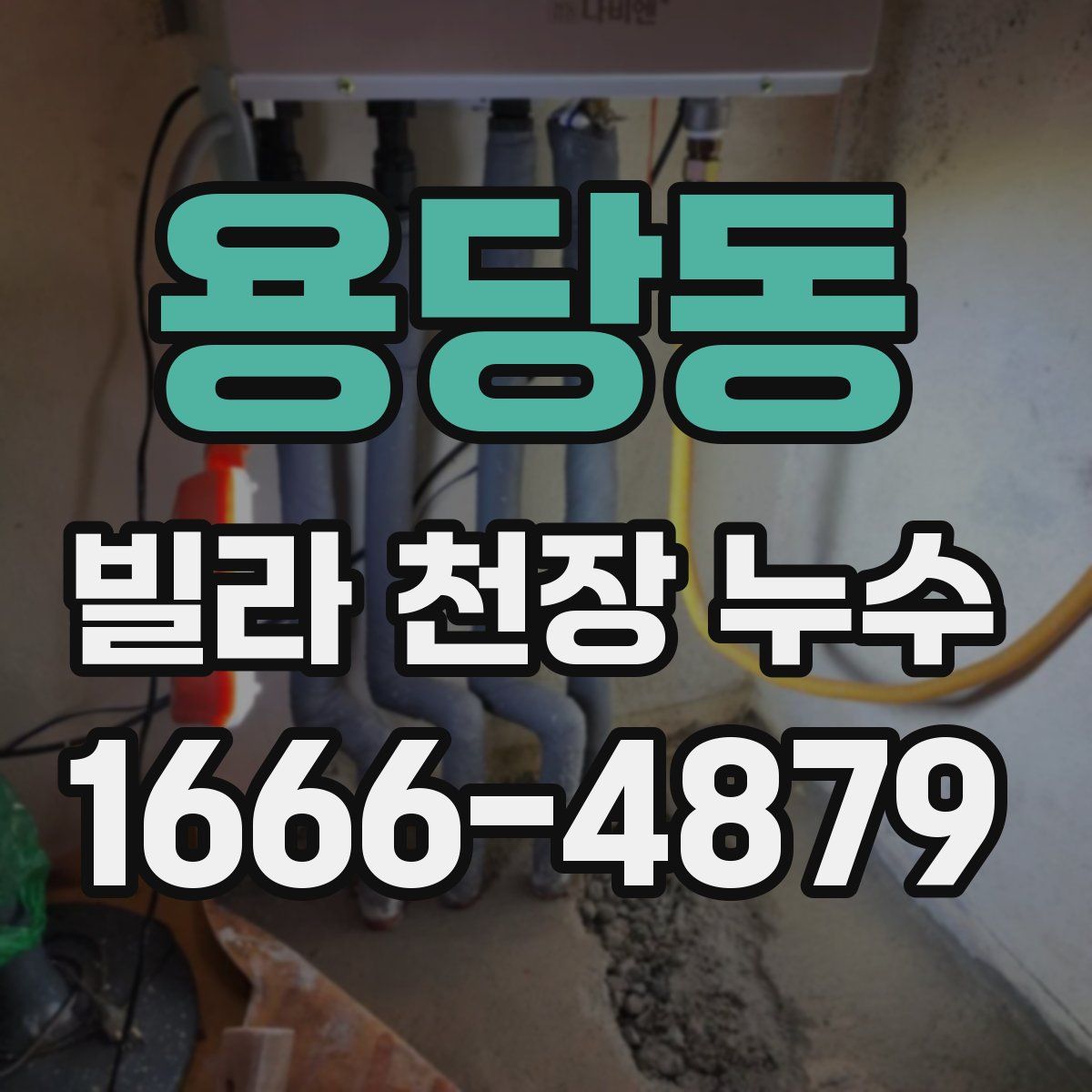 용당동 빌라 천장 누수