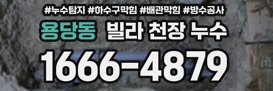 용당동 빌라 천장 누수