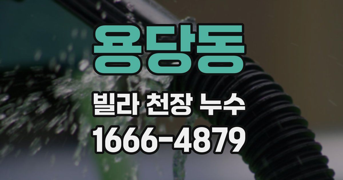 용당동 빌라 천장 누수