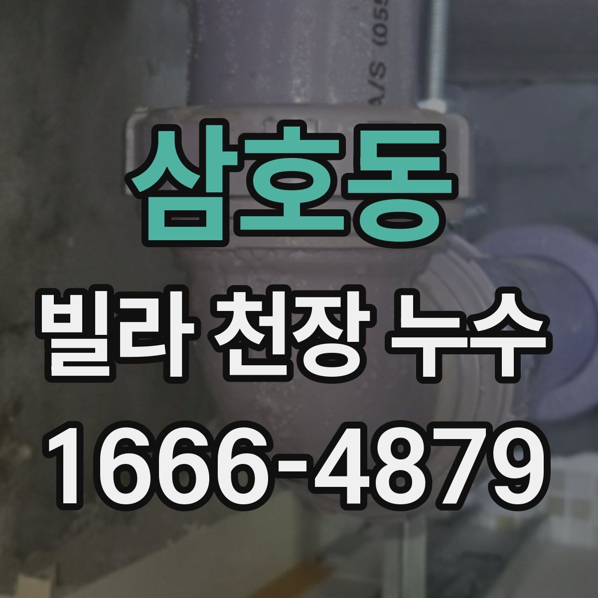 삼호동 빌라 천장 누수