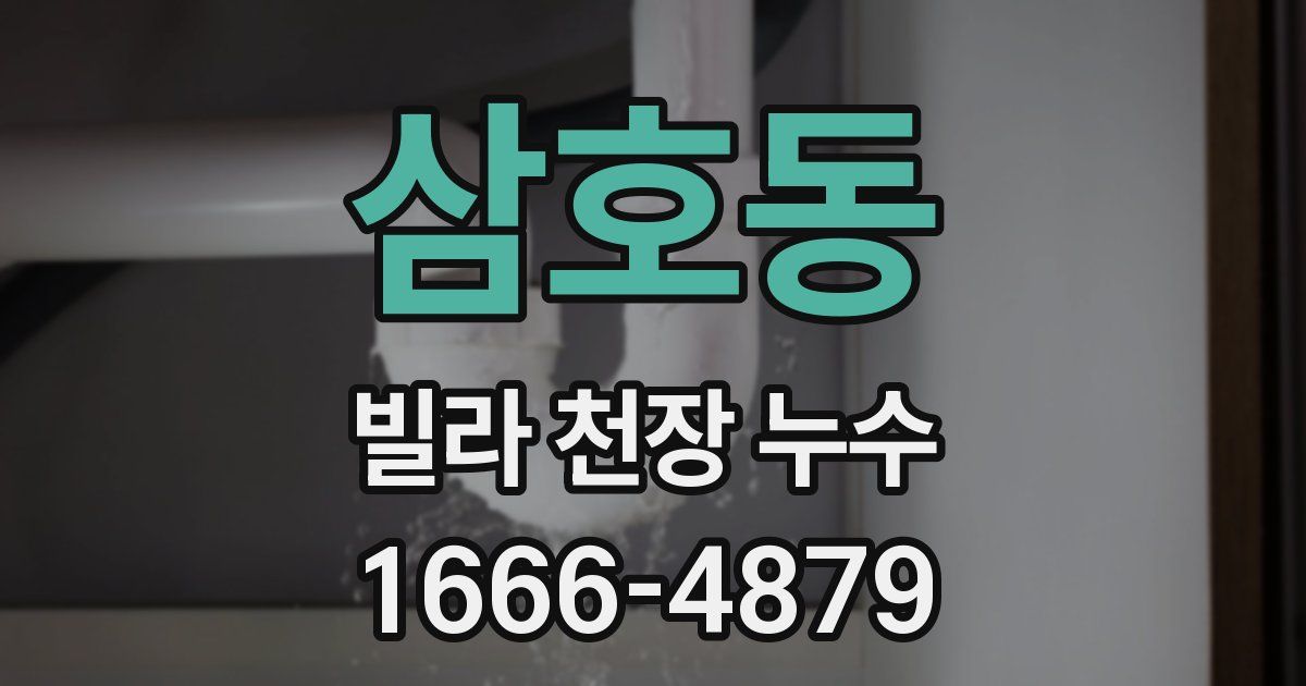 삼호동 빌라 천장 누수