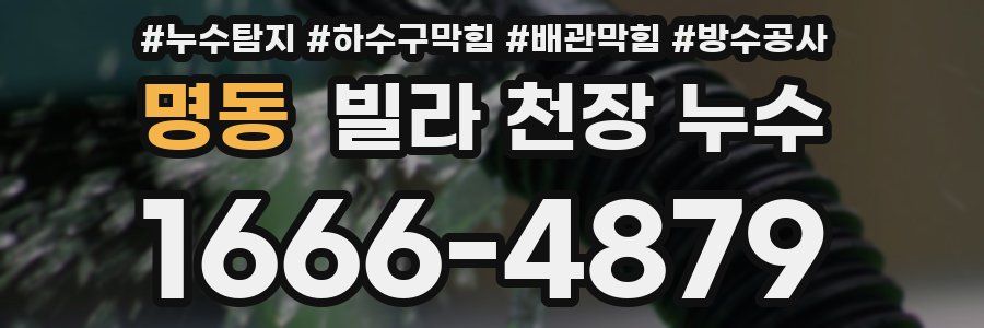 명동 빌라 천장 누수