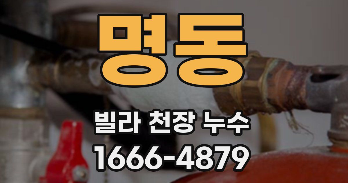 명동 빌라 천장 누수