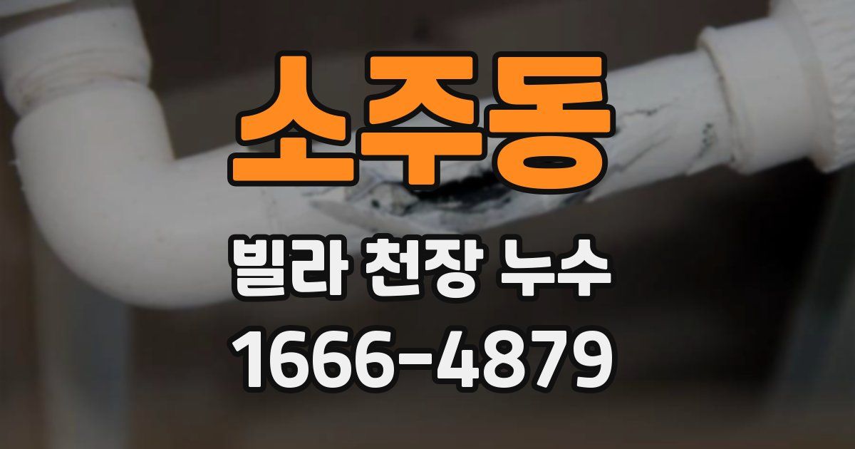 소주동 빌라 천장 누수