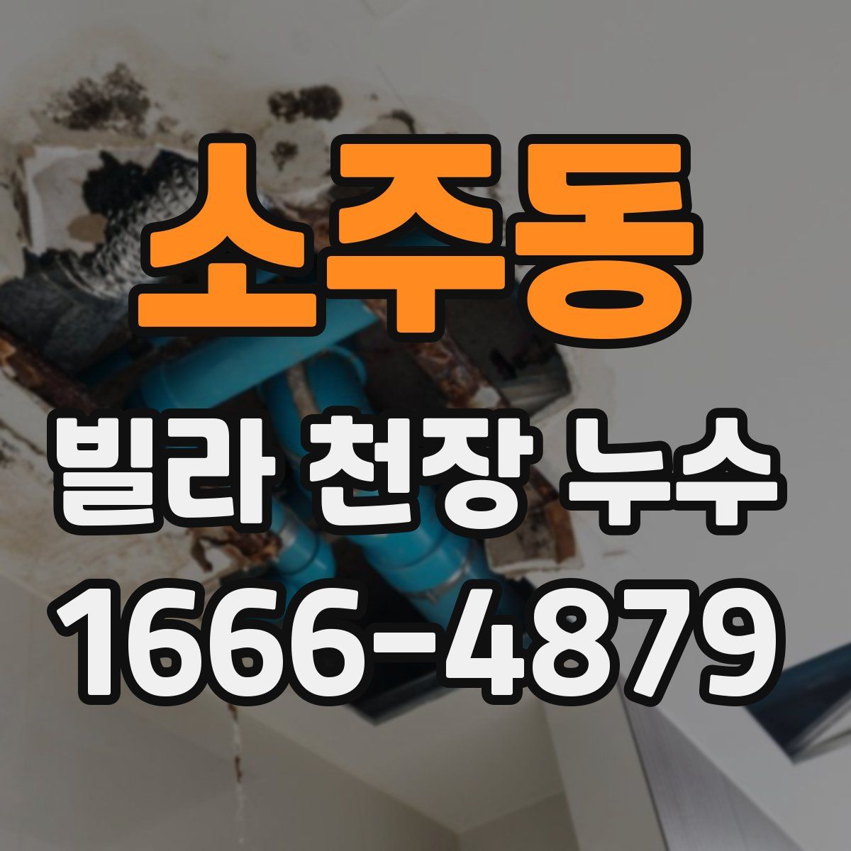 소주동 빌라 천장 누수