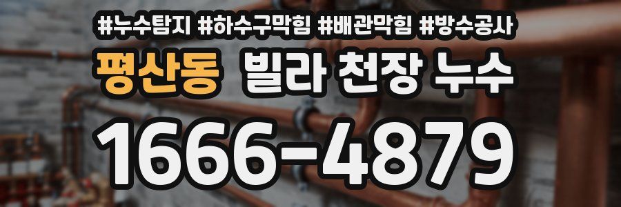평산동 빌라 천장 누수