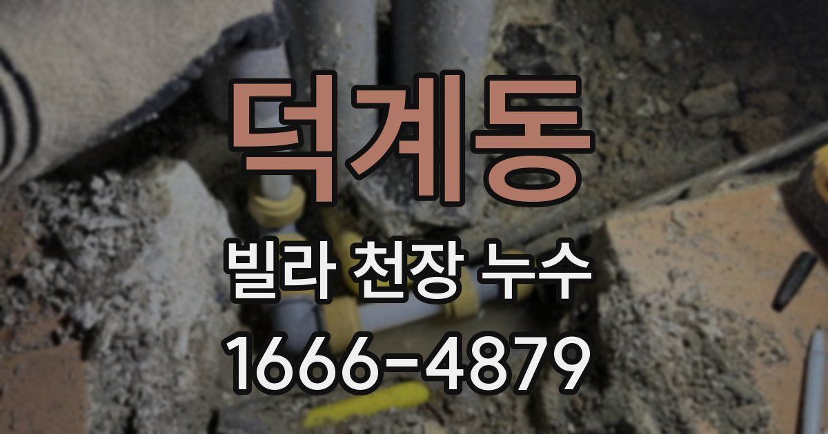덕계동 빌라 천장 누수