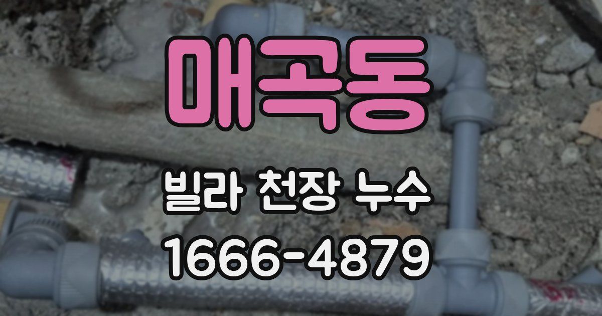 매곡동 빌라 천장 누수