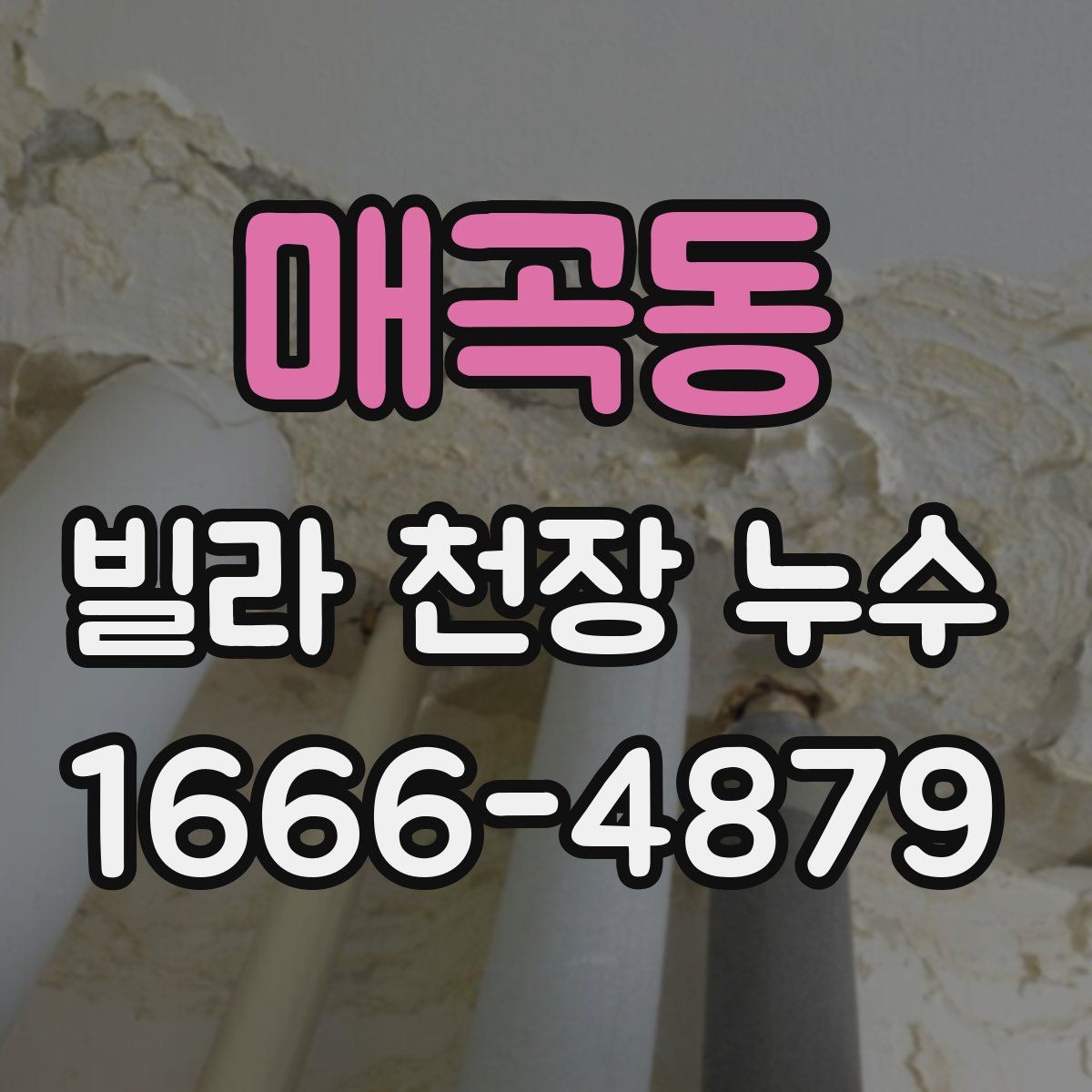 매곡동 빌라 천장 누수