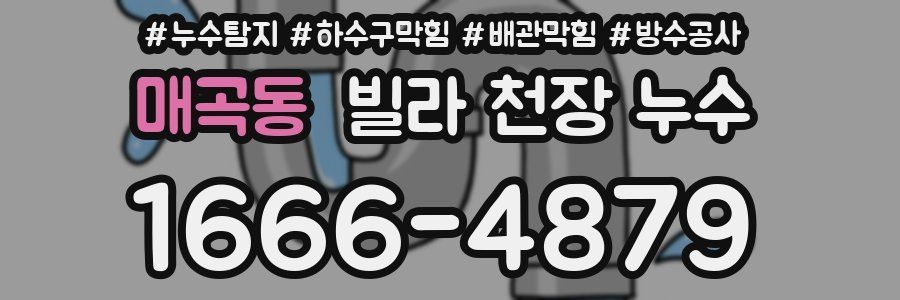 매곡동 빌라 천장 누수