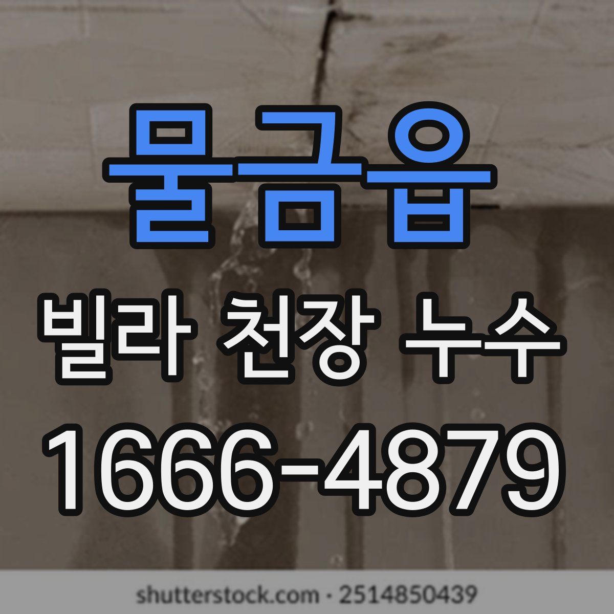 물금읍 빌라 천장 누수