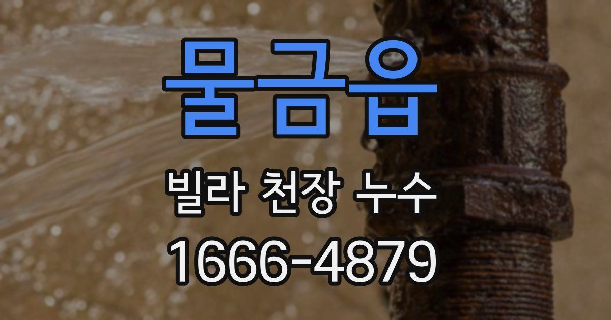 물금읍 빌라 천장 누수